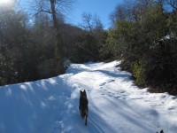 /album/fotogaleria/img-1163-jpg/